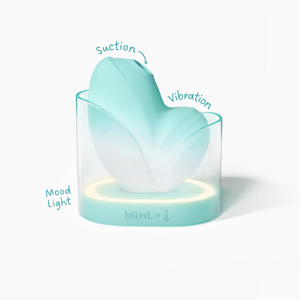 Clitoral Stimulation Vibrators & G-Spot Vibrators - Biird Clitoral Stimulation Vibrators & G-Spot Vibrators - Biird